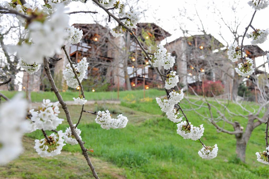 Kato Sinikia Trikalon Vathyskia Guesthouse מראה חיצוני תמונה